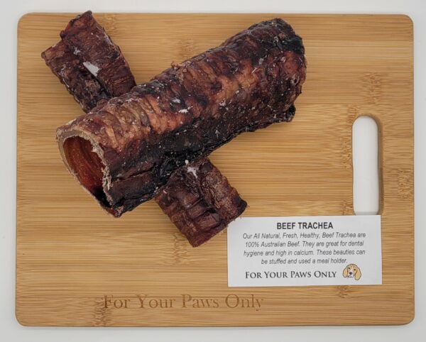 Beef Trachea