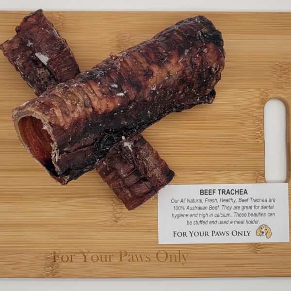 Beef Trachea